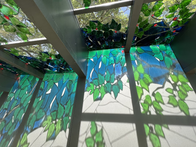 蝸牛的漂浮系統 Floating system for snails4